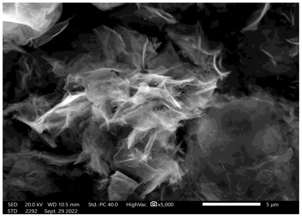 一种电化学制备石墨烯的方法