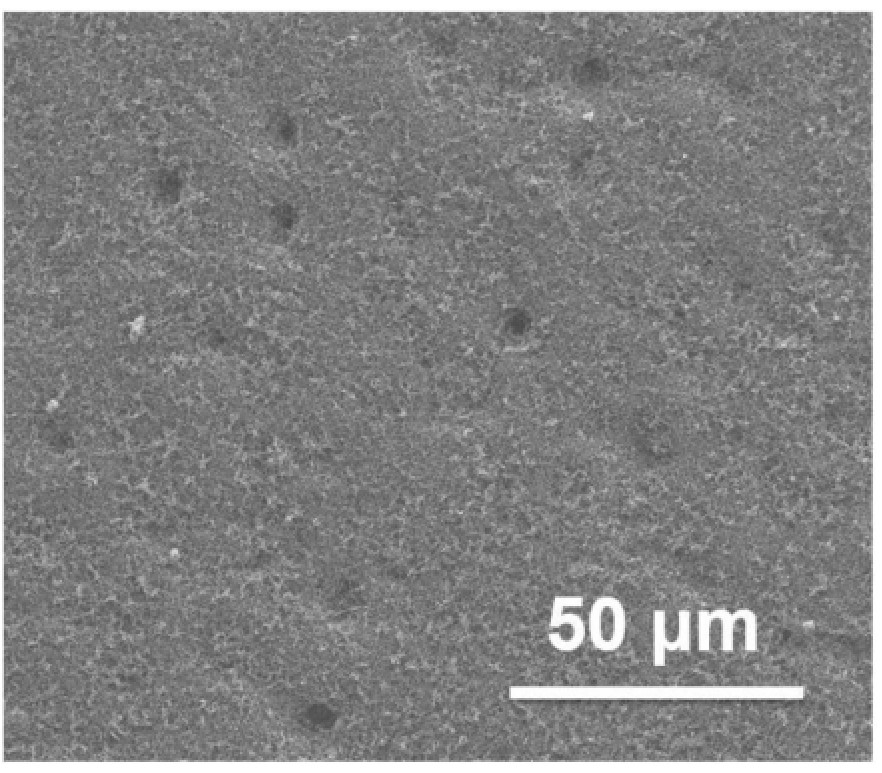 一种具有超疏水纤毛结构的复合涂层、防水垢涂覆制品及其制备方法