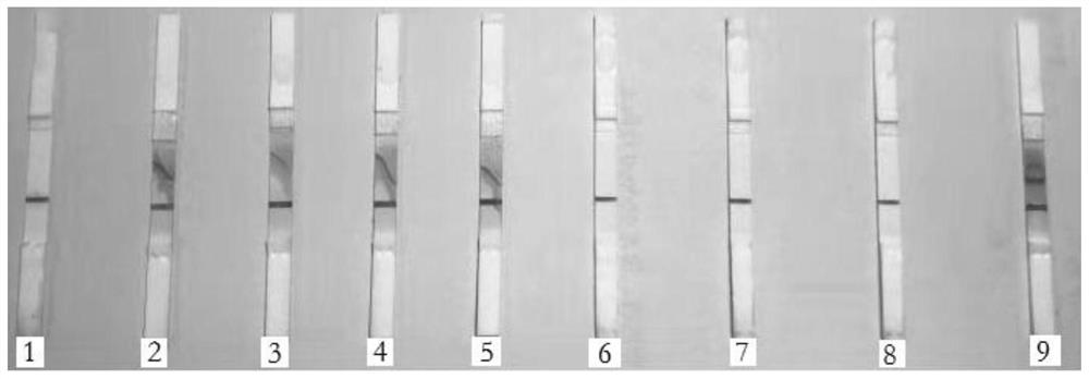 一种犬干扰素突变体重组融合蛋白及其制备方法和应用