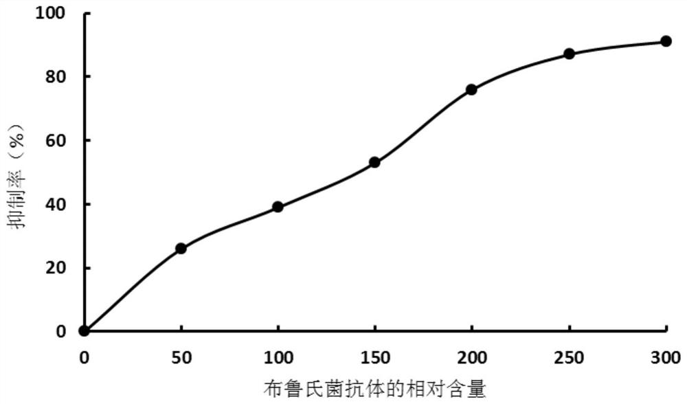 布鲁氏菌单链抗体及其用途