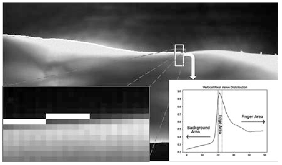 一种鲁棒的手指静脉图像感兴趣区域提取方法