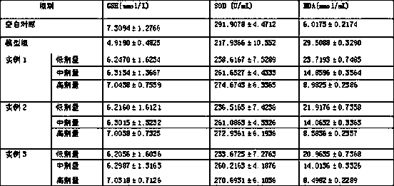 一种玉米种皮多糖复合物及制备方法和医疗用途