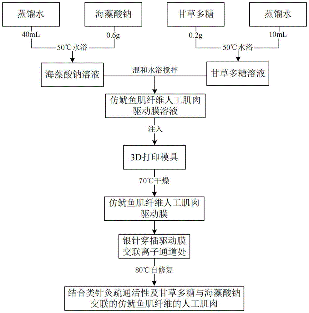 一种类针灸仿鱿鱼肌纤维的人工肌肉输出力改善工艺