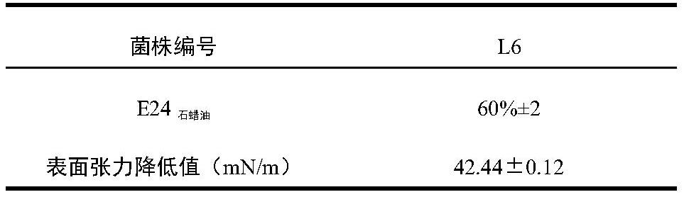 一株铜绿假单胞菌及其应用