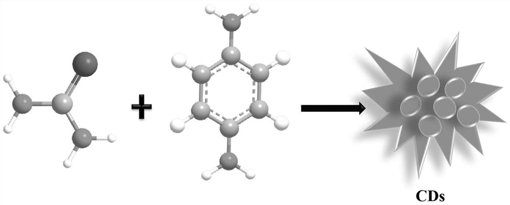 一种荧光碳点及其制备方法与应用