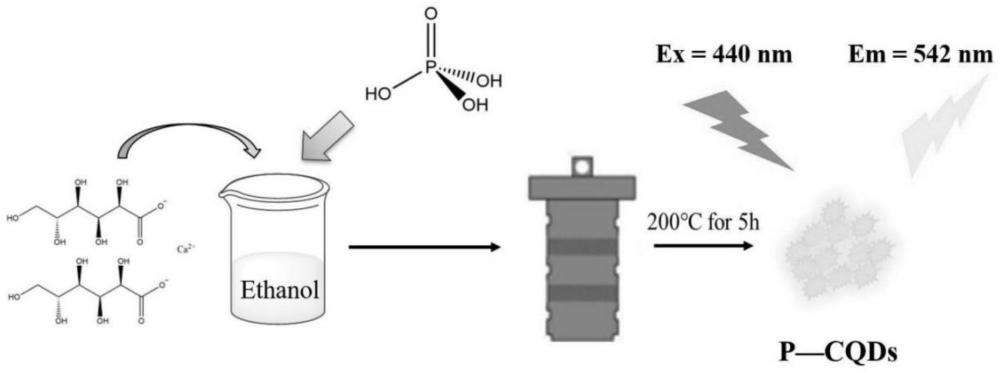 一种以葡萄糖酸钙为原料制备磷掺杂碳量子点的方法及其在六价铬离子检测中的应用