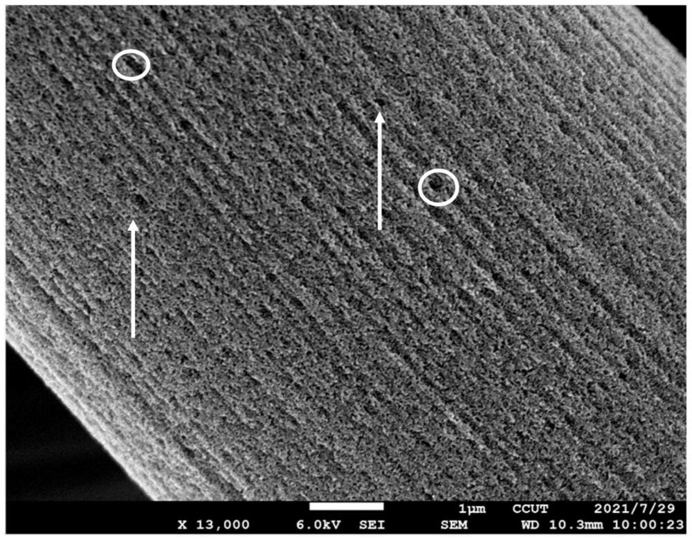 一种氮掺杂多孔碳纤维及其制备方法、炭纸及其应用