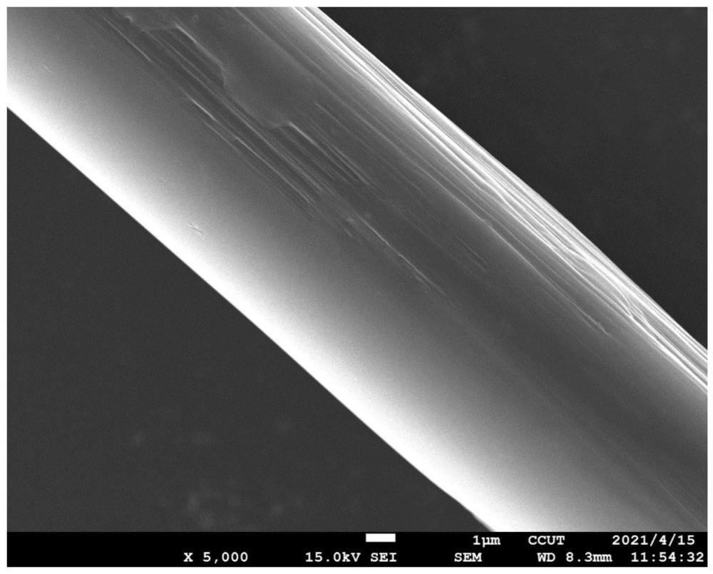 水性环氧改性柚皮苷、碳纤维上浆剂和上浆碳纤维及制备方法