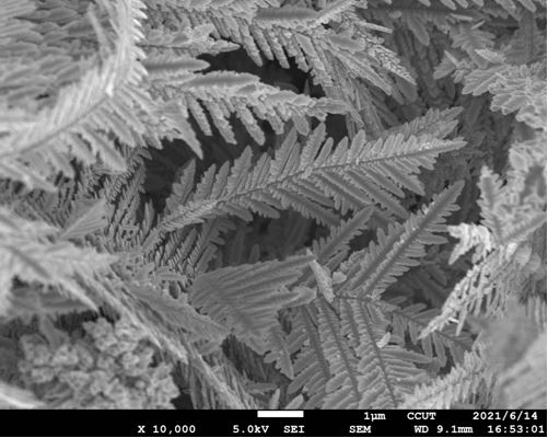 一种可以实现高效光热转换的针叶状镍黑膜