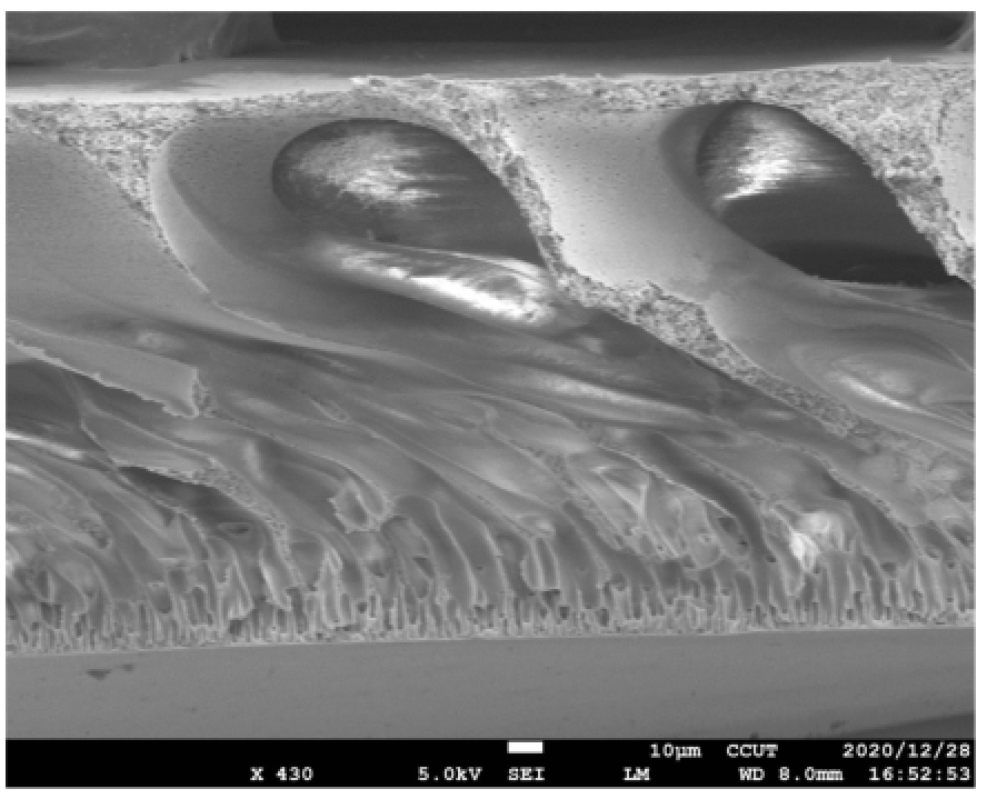 一种纯天然绿茶提取物茶多酚作为添加剂的聚醚砜超滤膜及其制备方法