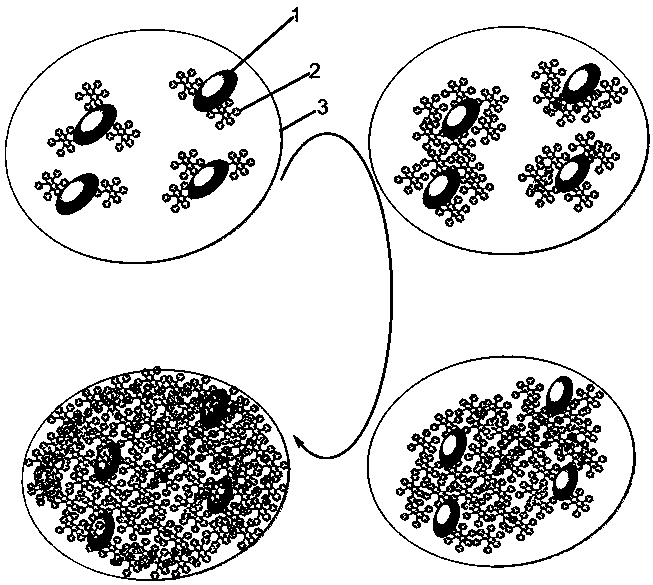 一种石墨烯量子点化学活性诱导生长红荧烯薄膜的方法