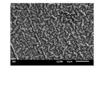 一种聚甲基丙烯酸甲酯导电凝胶的制备方法
