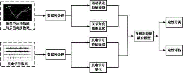 基于多模态特征融合的上肢功能评估方法与系统