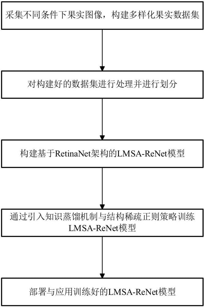 一种基于轻量化多尺度注意力机制的果实目标检测方法