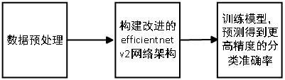 基于改进的EfficientNetV2网络的脑肿瘤分类方法