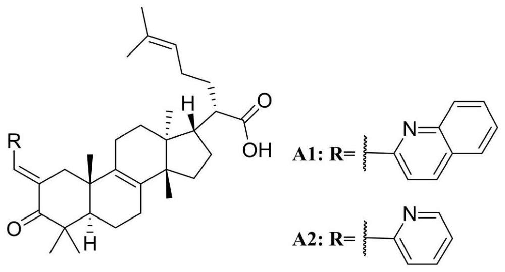 一种β-榄香酮酸类化合物及其制备方法和应用