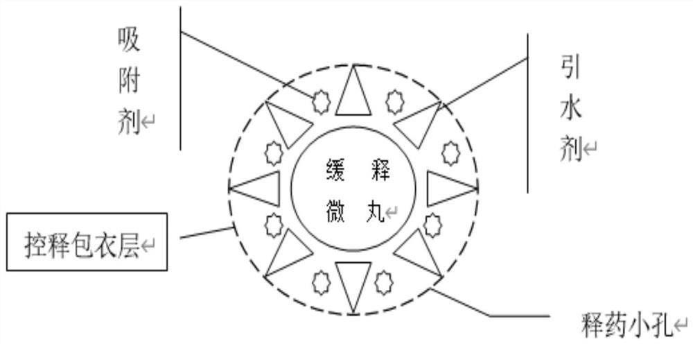 Keggin型硅钨酸盐缓控释胶囊的制备方法及其应用