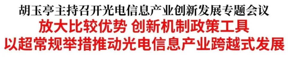 转发|胡玉亭主持召开光电信息产业创新发展专题会议